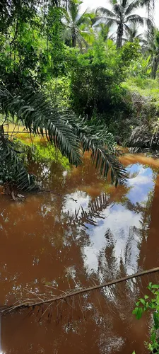 Vendo fazenda em Nazaré das farinha