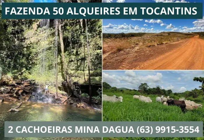 Fazenda, Terra, Lavoura, Platanção, Soja, Cana, Canavial, Cercada, Chacara, Chácara, Roça 