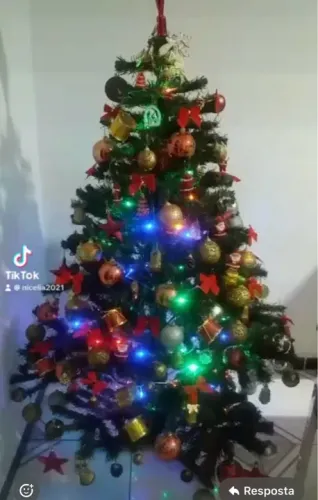 Árvore com todos os enfeites 