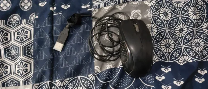 Mouse Usb Usado