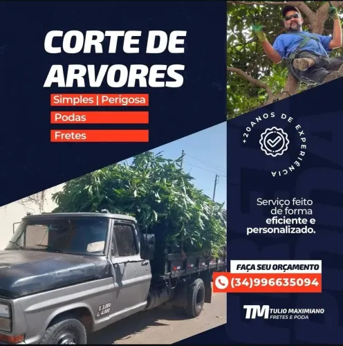 Túlio cortes de árvores 