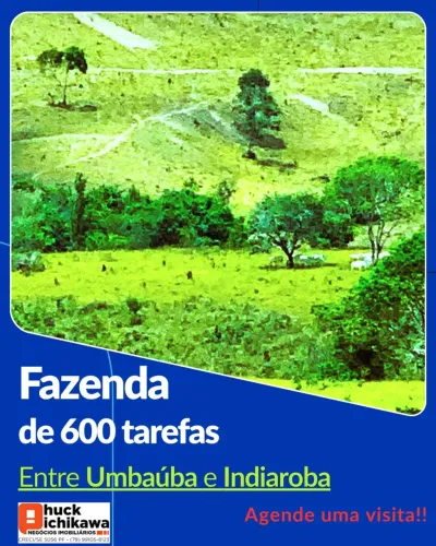 FAZENDA DE 600 TAREFAS - Umbaúba / Indiaroba