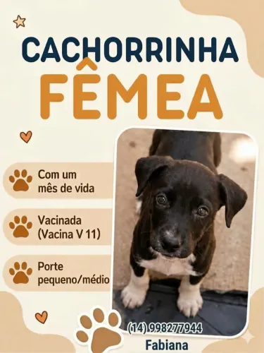 DOAÇÃO 