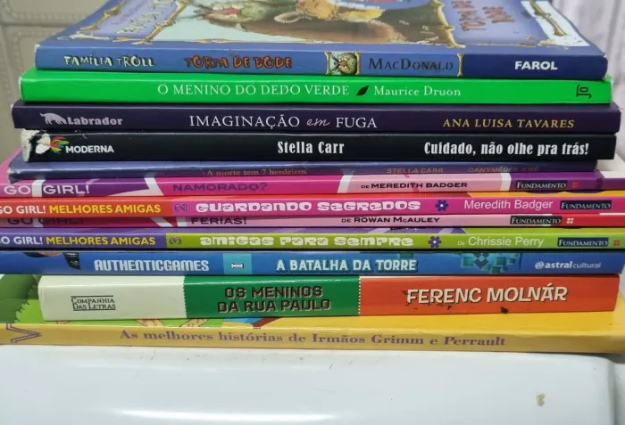 Lote 12 Livros Infanto-Juvenis e Escolares (Ótimo Estado!)<br>Preço: