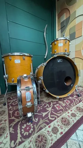 Bateria Odery Privilege 