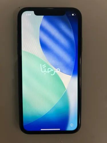 iPhone 11