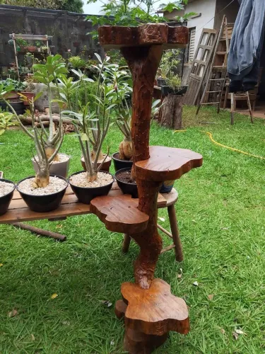 Suporte para plantas 