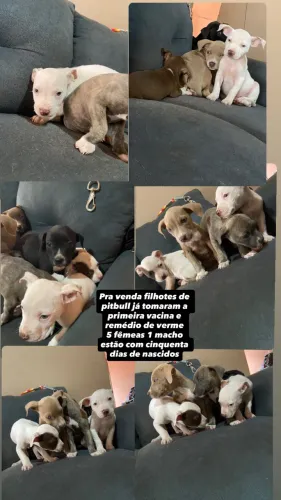 Pra venda *