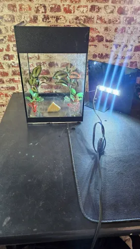 KIT AQUARIO DE PEIXES + ITENS (descrição)