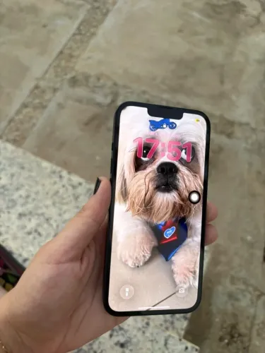 iPhone 13