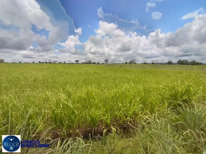 Propriedade à Venda em Vila Propício GO | 10 Alqueires
