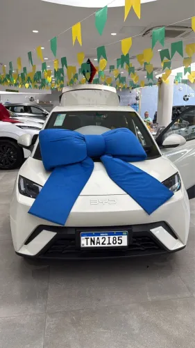 BYD Dolphin Mini GL 2027