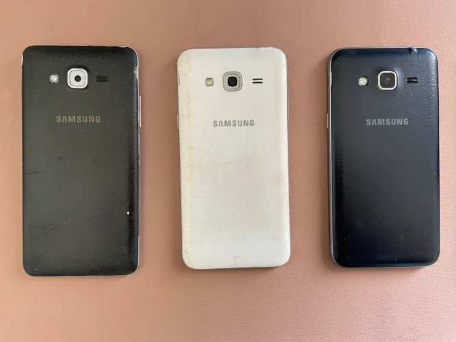 Carcaça celular