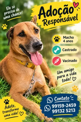 Adoção responsável 