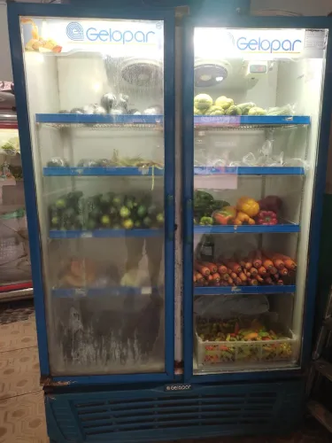 Expositor frio gelopar 