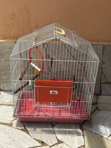 Gaiola
