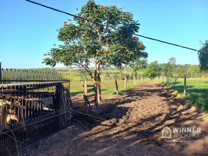 Sítio à venda, 21175 m² por R$ 380.000,00 - Br - Nova Esperança/PR