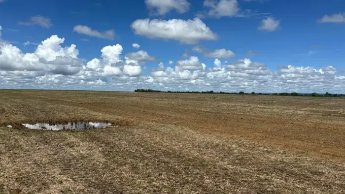FAZENDA EM ÁGUA BOA / MT - 82 ALQUEIRES