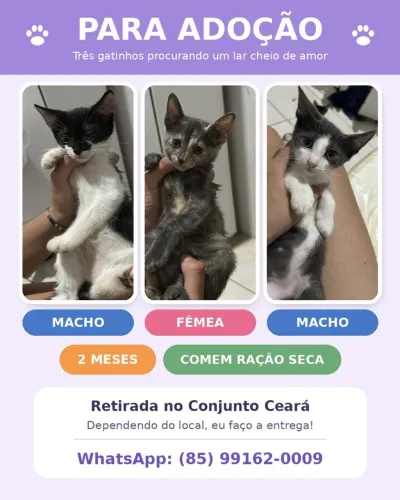 Doação