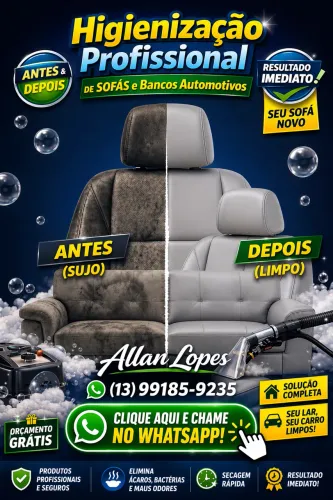     Higienização Profissional de Sofá e Carro