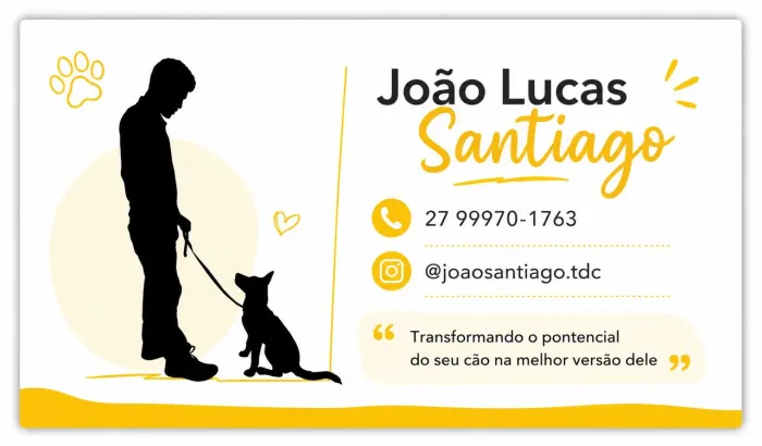 Cachorro Adestramento Filhote Doação