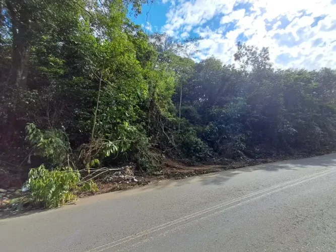 TERRENO À VENDA NO TARUMÃ 5.000M2 / r$ 80,00M2 ABAIXO DO VALOR DE MERCADO.