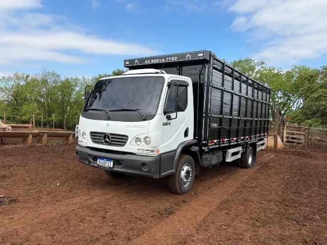Accelo 915C boiadeiro, MB Merceds Benz gaiola imperatriz *