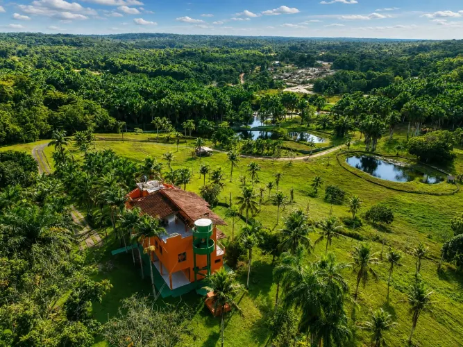 Chácara à Venda - BR-174, Km 30 | Manaus/AM