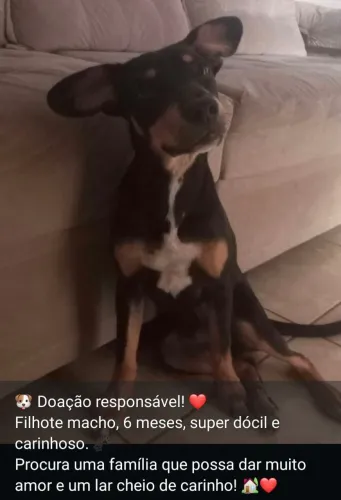 Doação