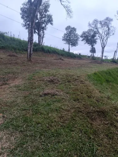 Vende-se chácara em Areia Branda de Assis