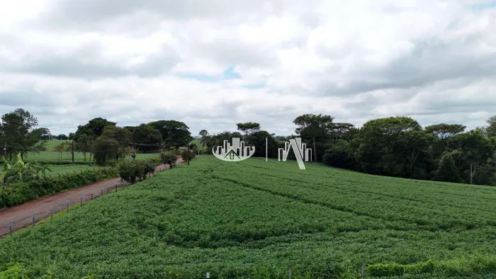 Sítio à venda, 495000 m² por R$ 17.000.000,00 - Patrimonio Espirito Santo - Londrina/PR