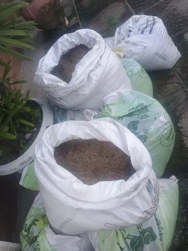 Sacos de areia grossa 10,00 reais cada saco