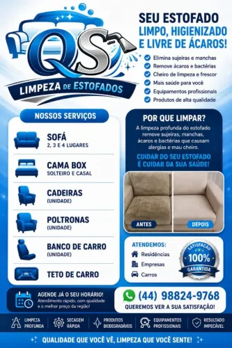 LIMPEZA DE ESTOFADOS.