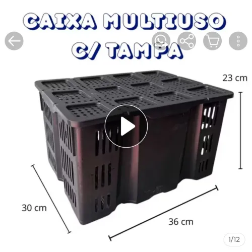 Caixa organizadora