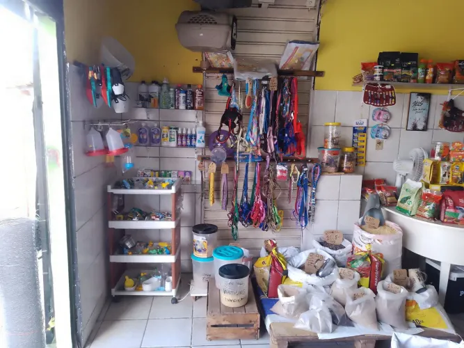 Passo logo pet shop, rua do mercado João Paulo!