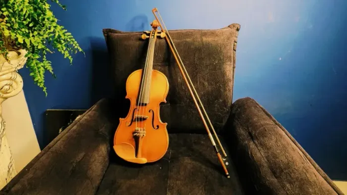 Violino Hofma By Eagle - Hve242 Ajustado Luthier + Estojo Com Alças