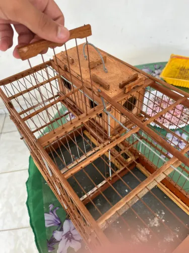 Gaiola para canário com divisória e ninho 