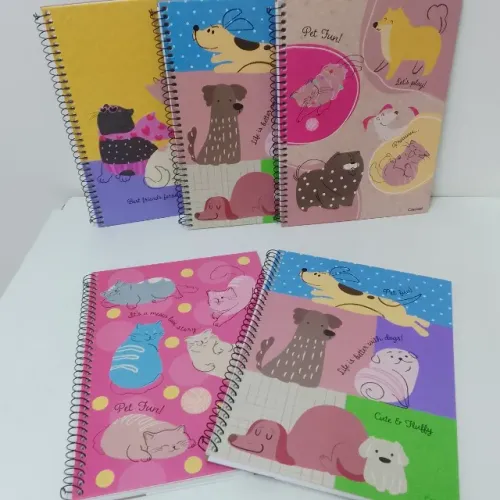 Kit com 5 Cadernos Capa Dura Feminino