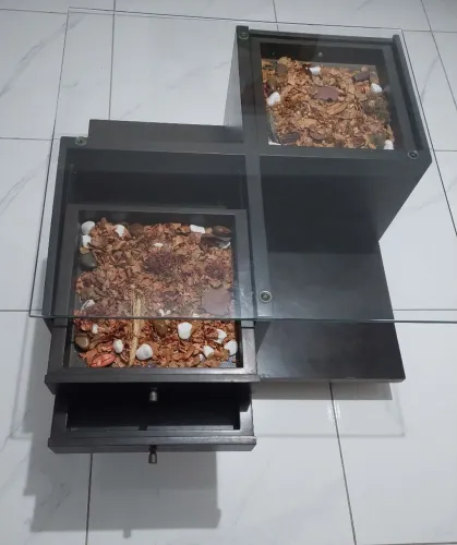 Mesa de Centro de madeira