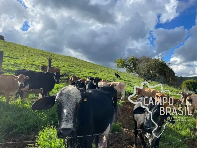 FAZENDA 26 HECTARES FORMADA COM EXCELENTE ESTRUTURA NO SUL DE MINAS GERAIS !