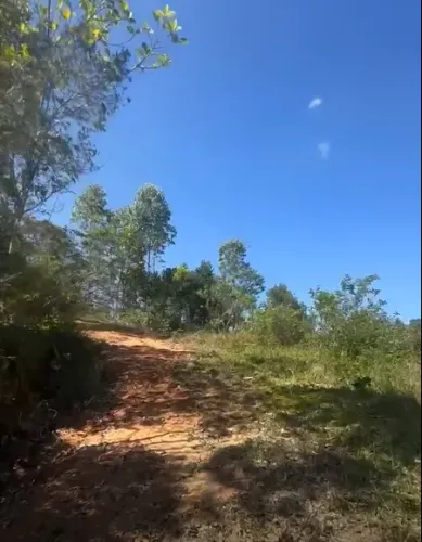 Terreno em Ilhota com 4000 m2.