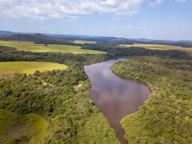 fazenda com 18.800 hectares no estado do Tocantins de porteira fechada com 8 mil cabeças