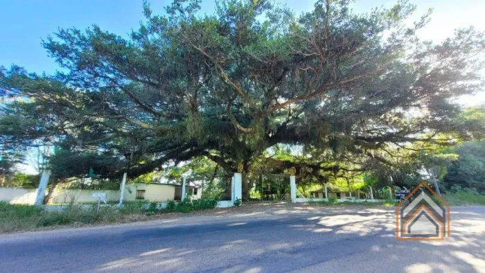 Sítio com 1 dormitório à venda, 8600 m² por R$ 489.990,00 - Aparecida - Alvorada/RS