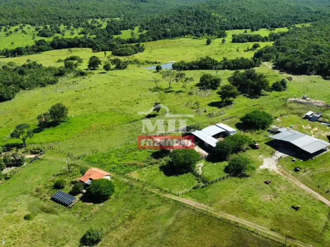 Fazenda 323 Alqueires (1.563 hectares) Colinas do Sul - GO