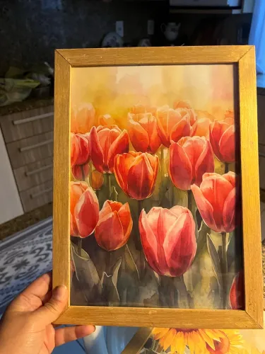 Trio de quadros 33x24