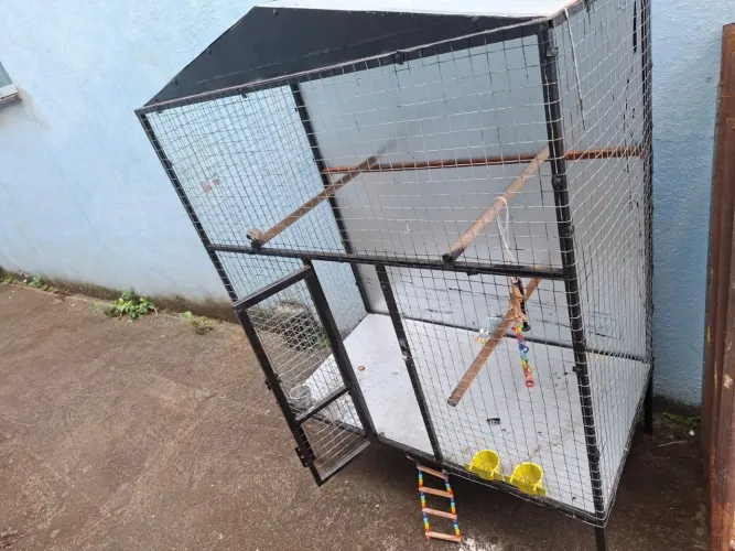 Vende se gaiola para pássaros