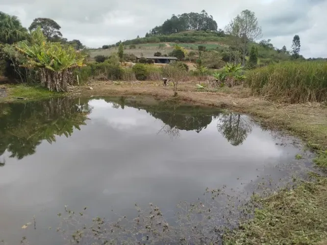 Chacara com açude e nascente toda plana