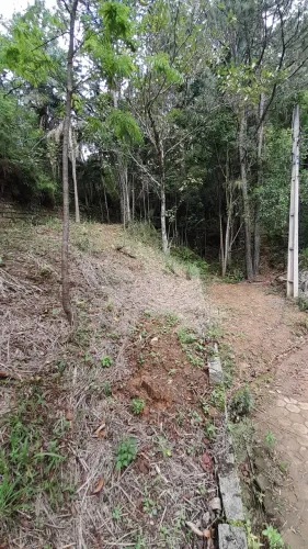 Terreno Rio Tavares Campeche Sul da ilha