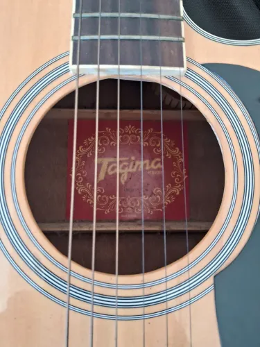 Violao tagima kansas