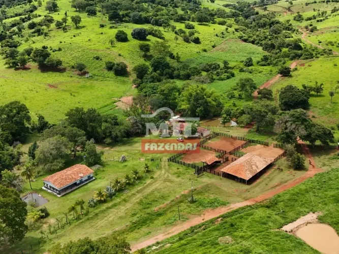 Fazenda de cultura 90 alqueires ( 435 hectares) Goianesia-GO